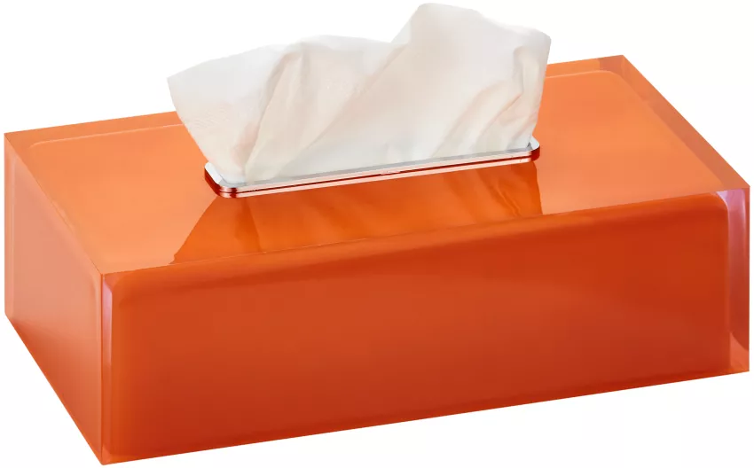 45219667_medium_3.webp